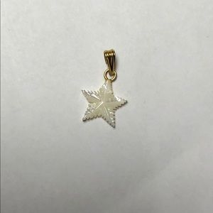 Pearlescent Star Pendant